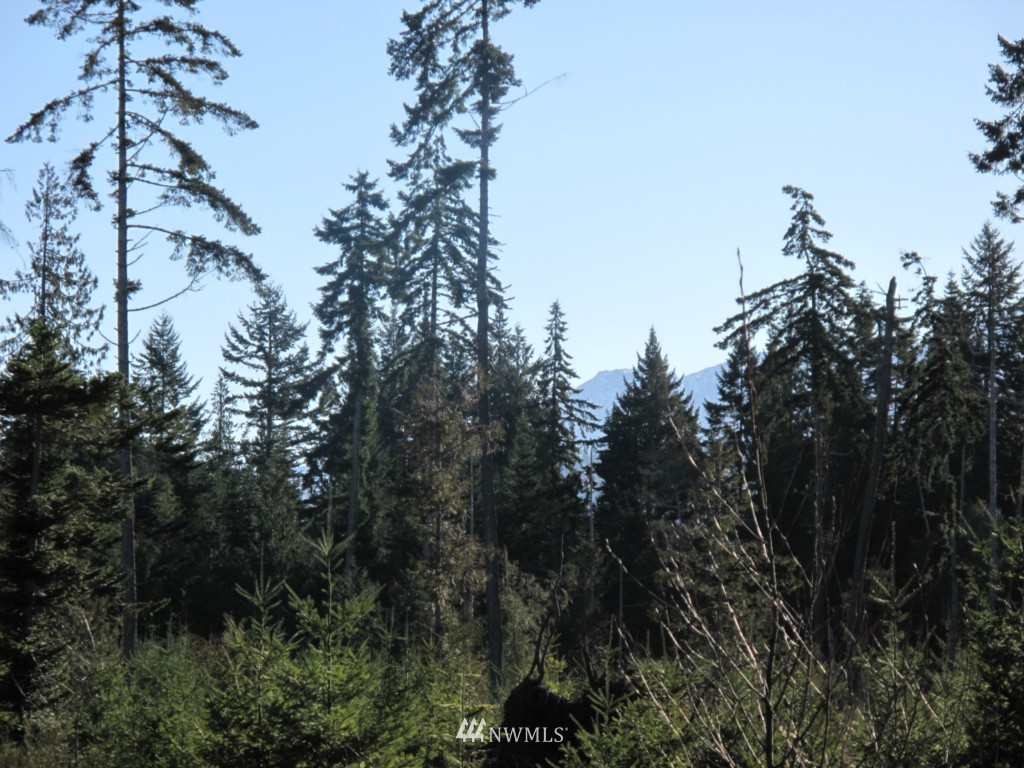 9999 Ranger Road, Unit LOT 4 Port Angeles, WA 98363 - Photo 10 of 13 Gallery Image 10