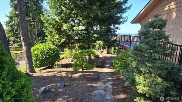 a view of a chairs and table in the backyard