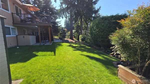a view of a backyard with plants and a patio