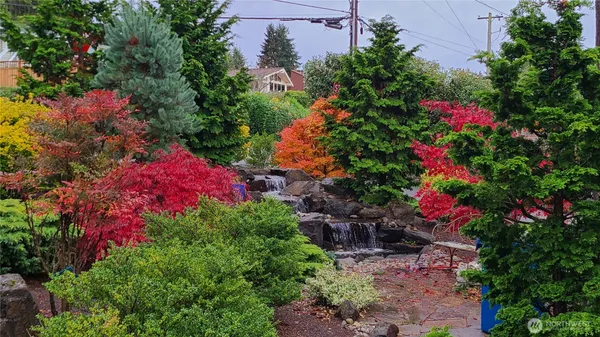 a view of a flower arrangement in a garden