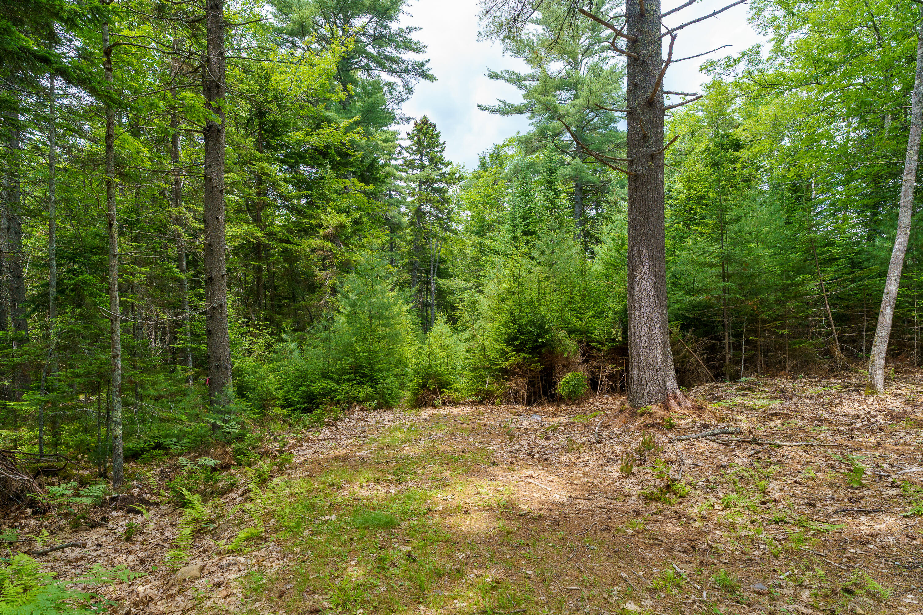 205 Steves Road Boothbay, ME 04537 - Photo 9 of 17 205 Steves Rd. Boothbay-21
