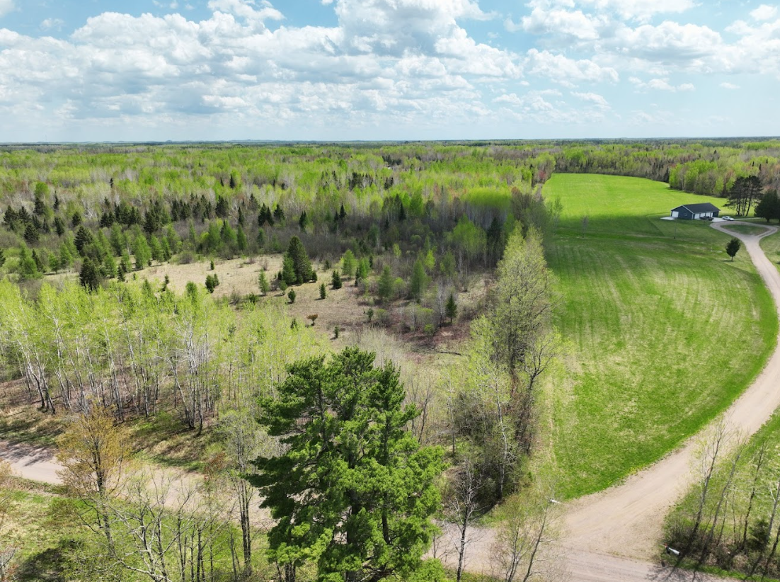 0 Fine Lakes Road Floodwood, MN 55736 - Photo 5 of 10