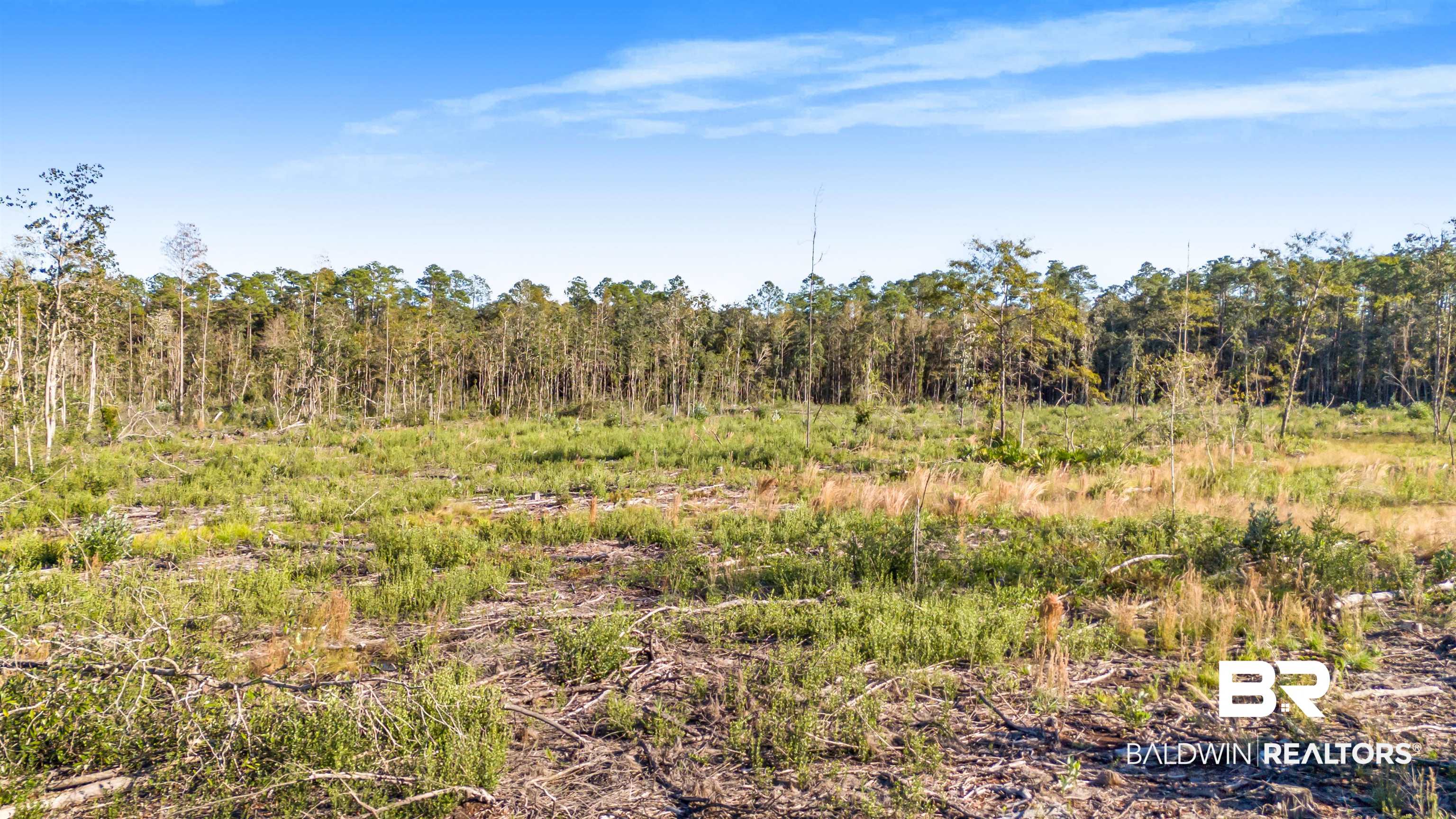 0 County Road 112 Robertsdale, AL 36567 - Photo 31 of 33 View of local wilderness