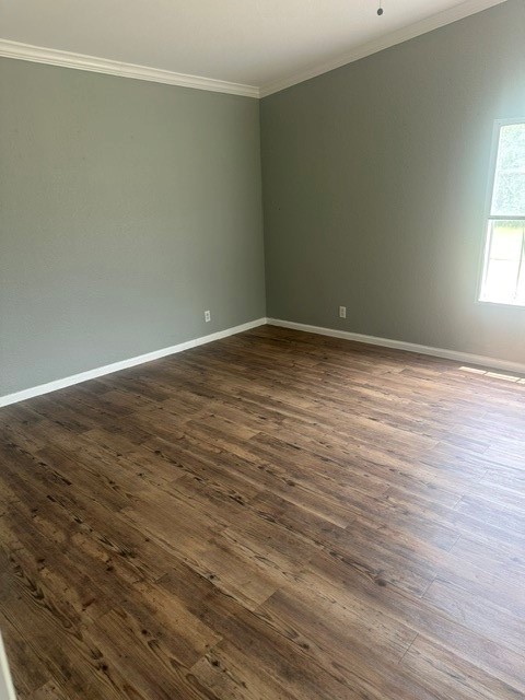 15921 Patterson Lane, Unit C564A Rosharon, TX 77583 - Photo 10 of 13 Gallery Image 10