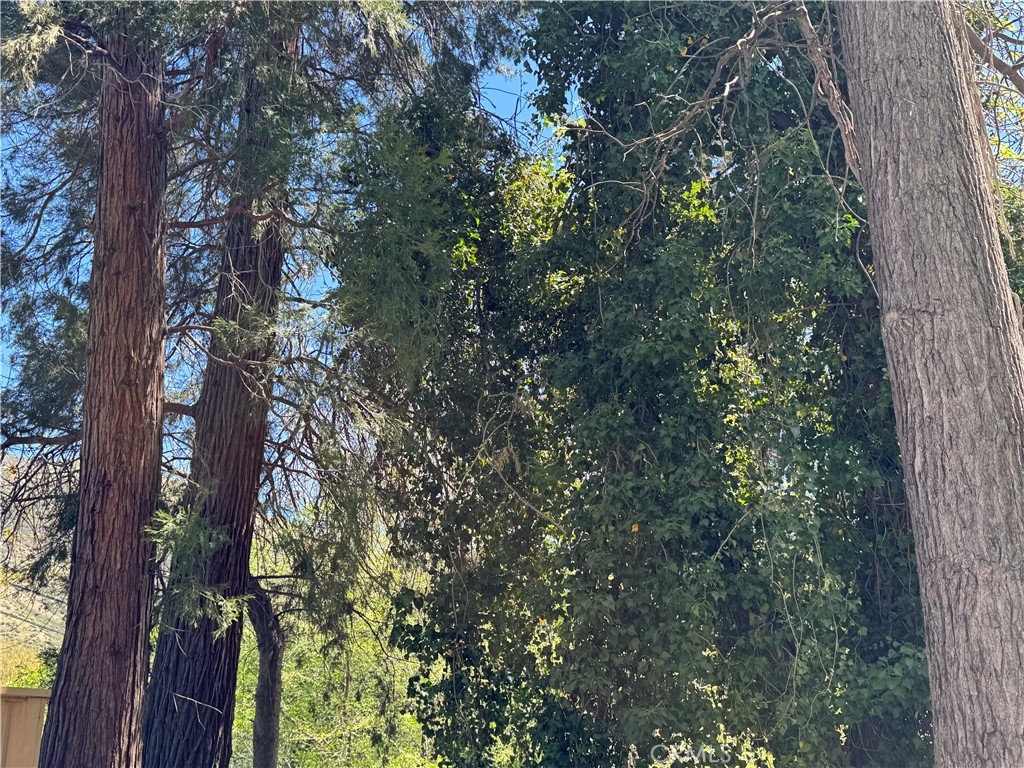 14043 Meadow Lane Lytle Creek, CA 92358 - Photo 7 of 7