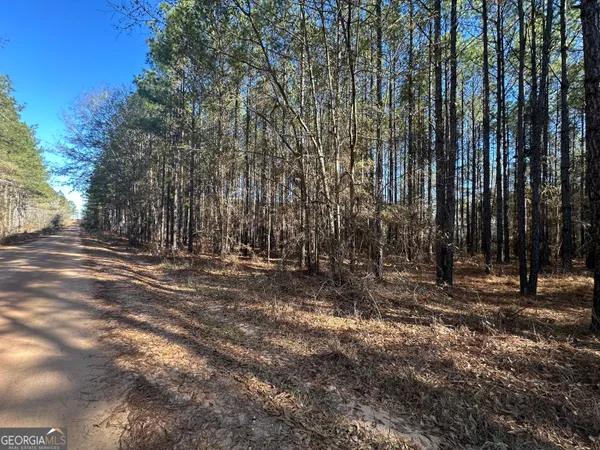 a view of outdoor space with trees