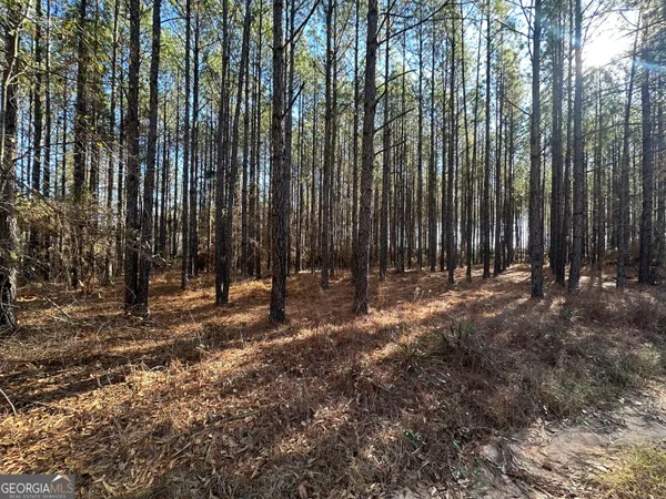 a view of outdoor space with yard