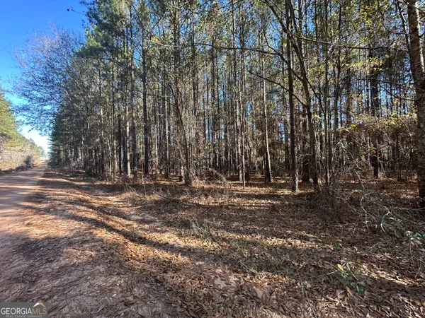 a view of outdoor space with trees