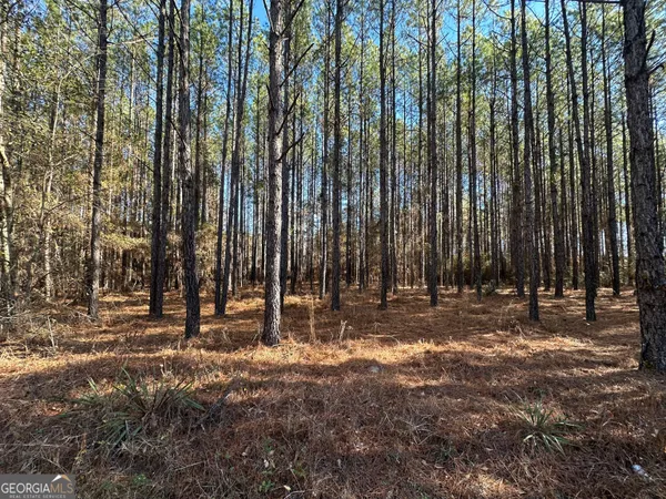 $12,000 | 0 Harmony Lane, Milan, GA 31060