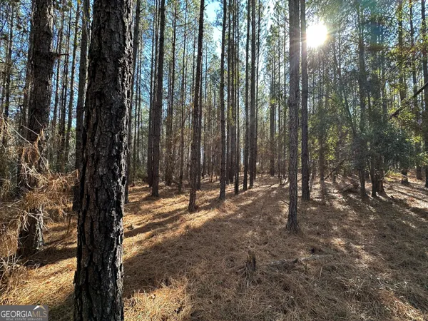 $12,000 | 0 Harmony Lane, Milan, GA 31060