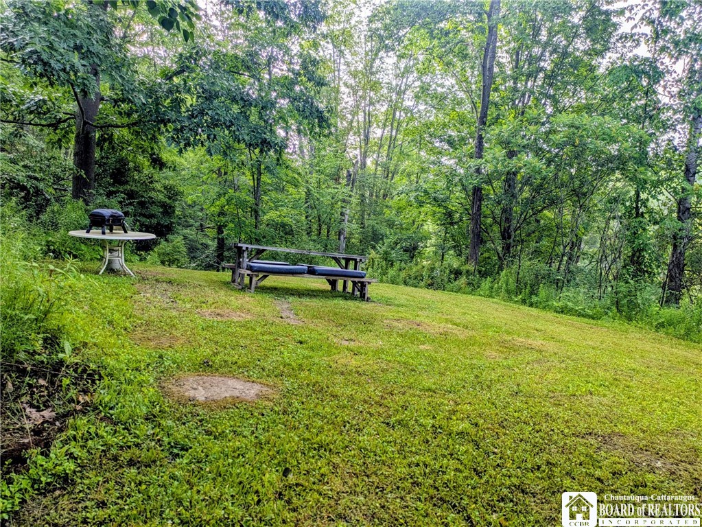 1186 28th Creek Road Ellington, NY 14747 - Photo 10 of 22