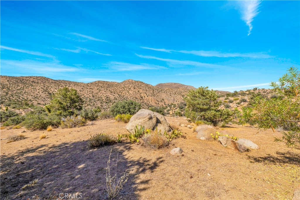 48620 Madison Road Landers, CA 92285 - Photo 46 of 72