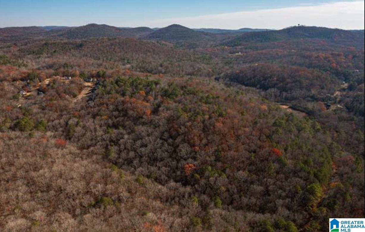 7180 Faucett Cut-Off Road, Unit 7180 Pinson, AL 35126 - Photo 7 of 8