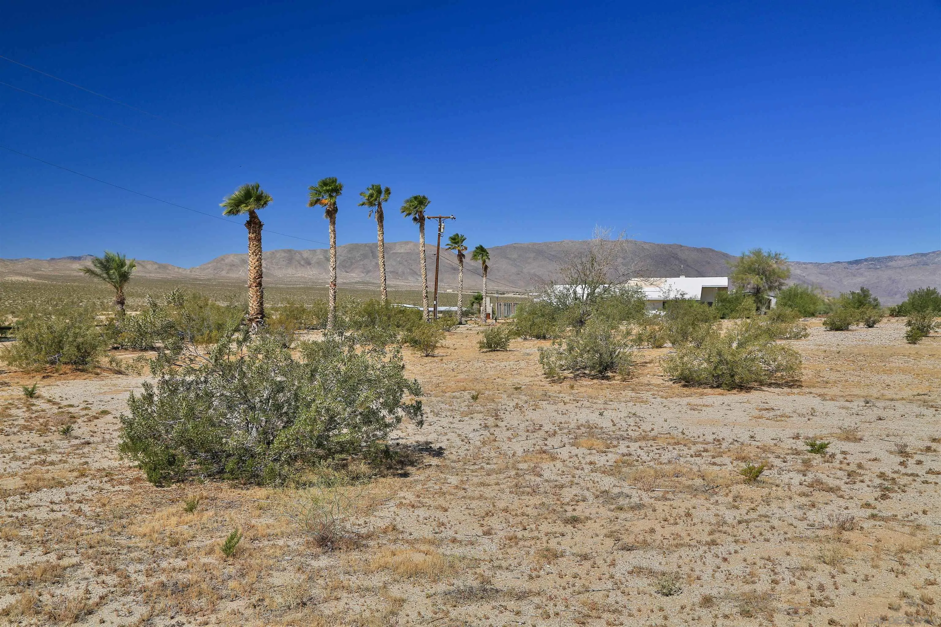 2772 Stinson Road, Unit 20 AND 21 Borrego Springs, CA 92004 - Photo 8 of 13 a view of a dry yard with trees