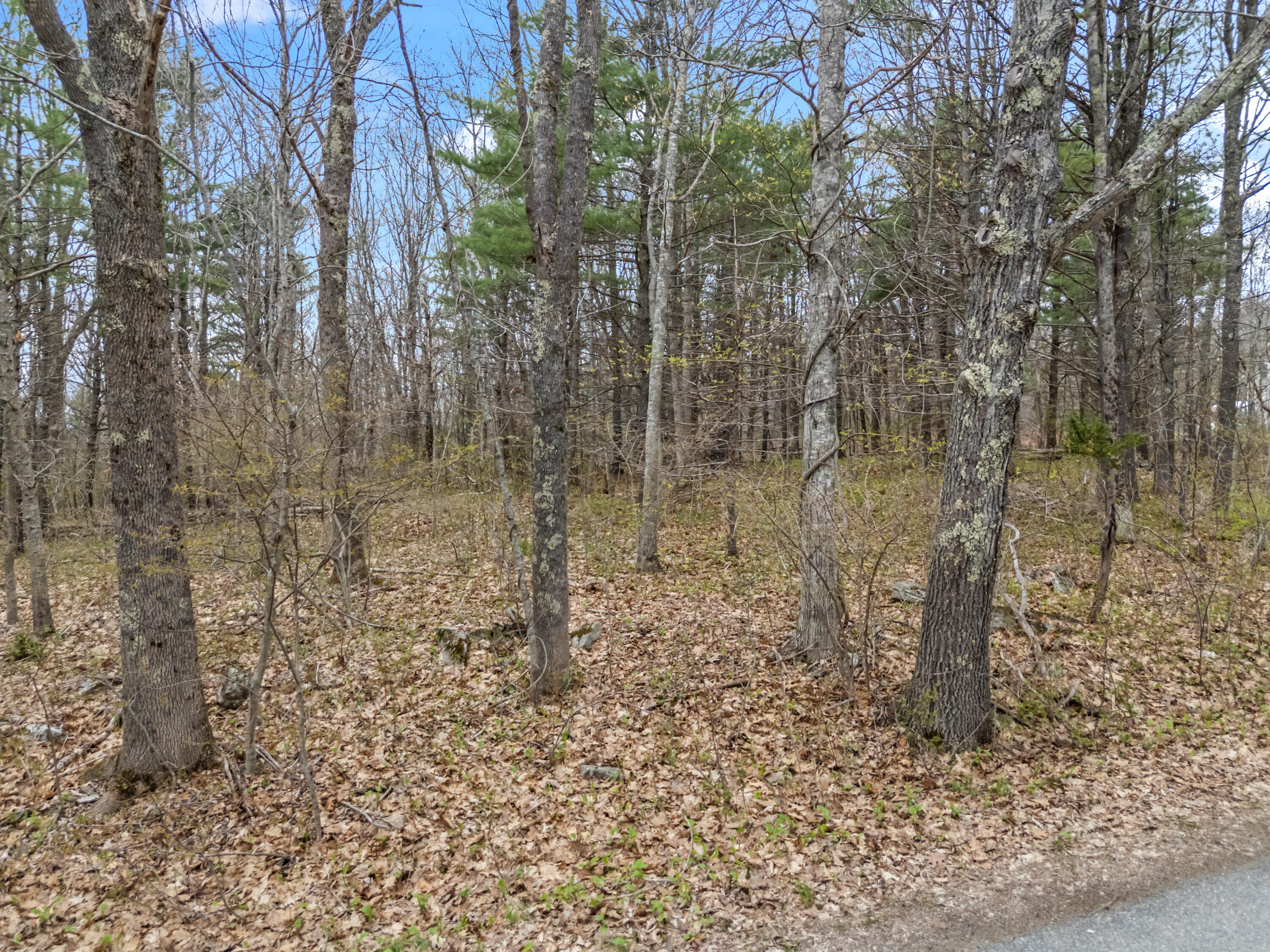 Lot # State Route 32 Bremen, ME 04551 - Photo 28 of 30 ME-32_128