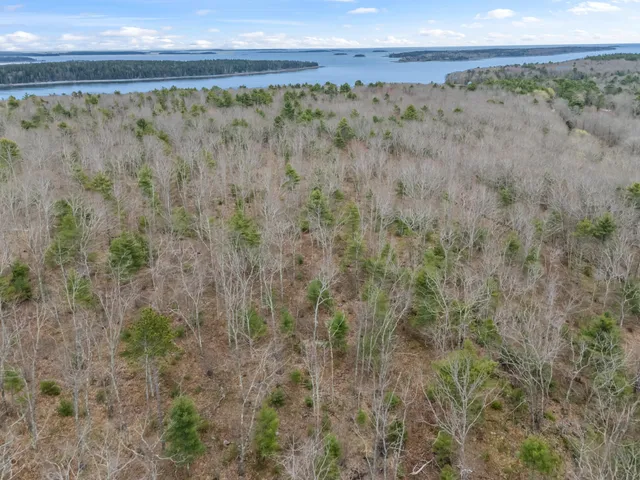 $239,000 | Lot # State Route 32, Bremen, ME 04551