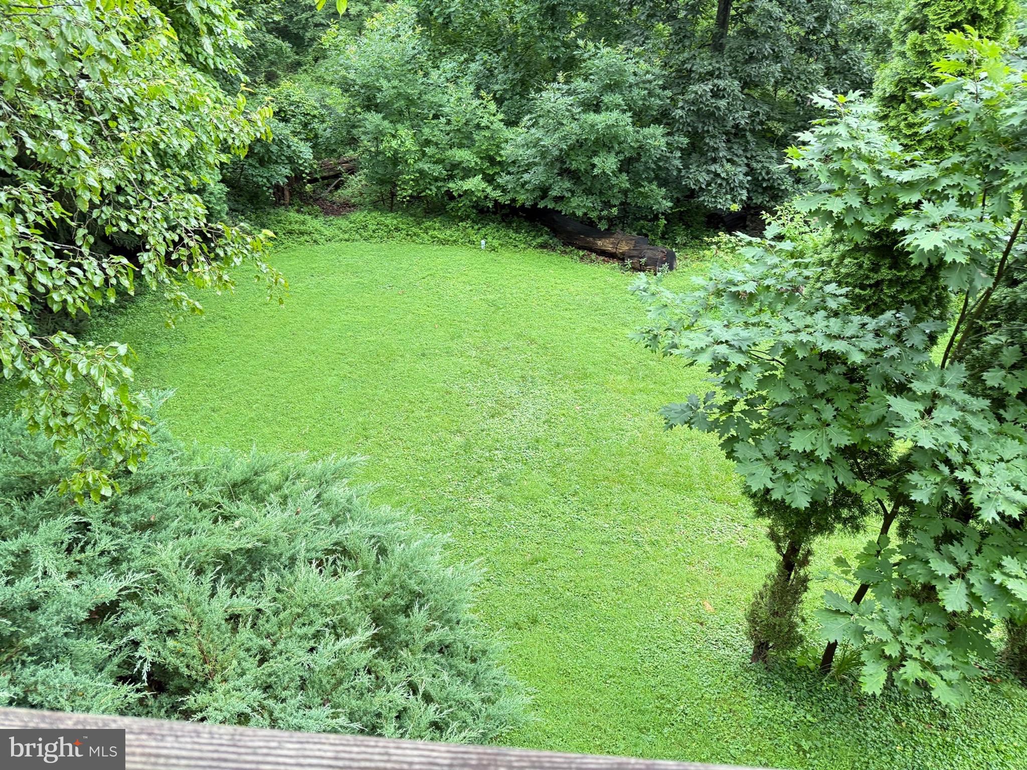 7 Ridge Road Malvern, PA 19355 - Photo 31 of 58 Summer View From Deck