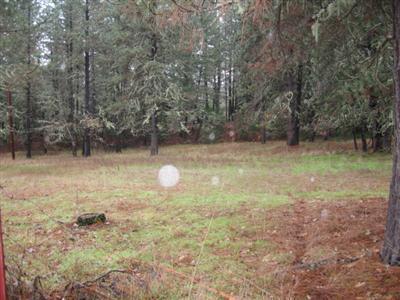 2449 Hugo Road Merlin, OR 97532 - Photo 1 of 5 Primary Photo