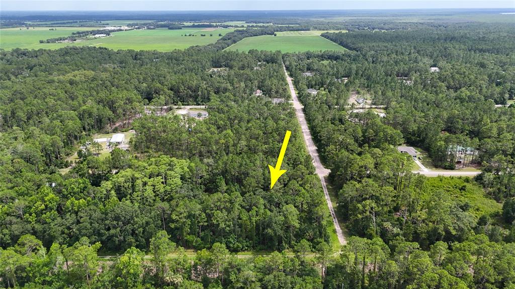 5446 Mango Avenue Bunnell, FL 32110 - Photo 10 of 17