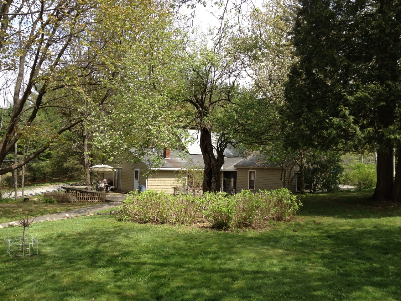 back of house