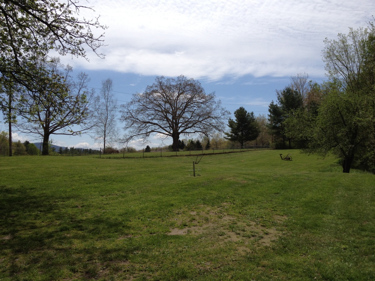 yard