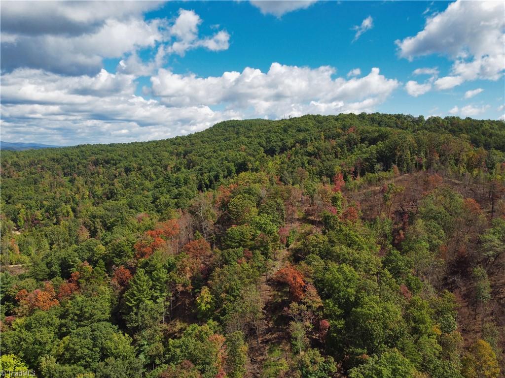 100 White Oak Road Purlear, NC 28665 - Photo 16 of 18 Gallery Image 16