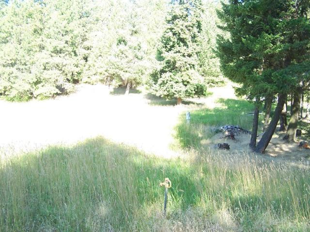 2626 B Addy Cedonia Road Addy, WA 99101 - Photo 4 of 7