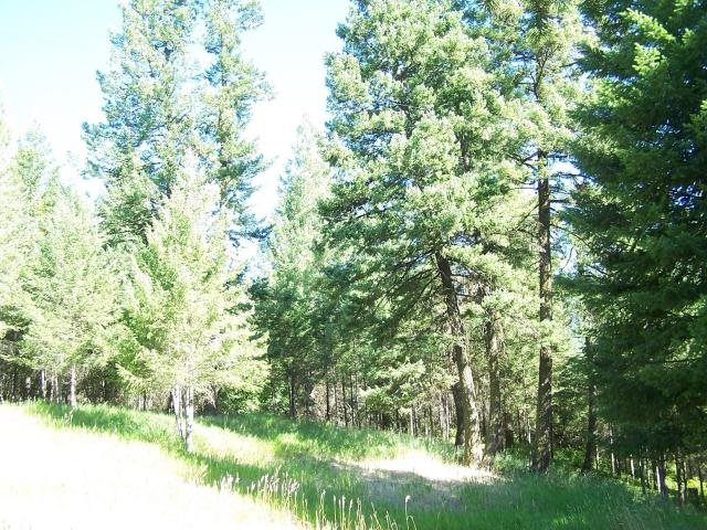 2626 B Addy Cedonia Road Addy, WA 99101 - Photo 5 of 7