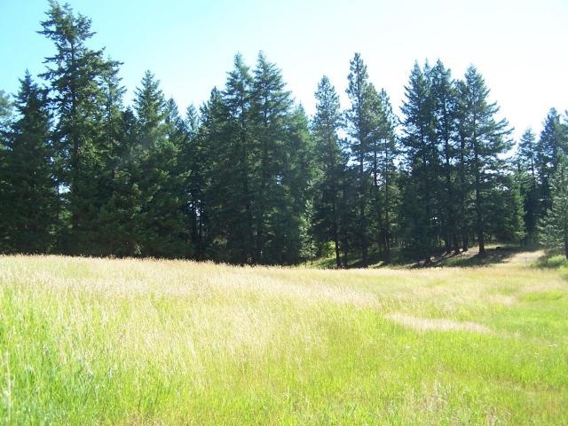 2626 B Addy Cedonia Road Addy, WA 99101 - Photo 7 of 7