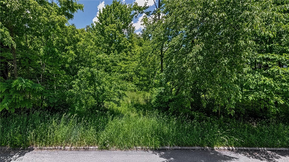 0 Charles Street Mansfield, OH 44903 - Photo 2 of 12