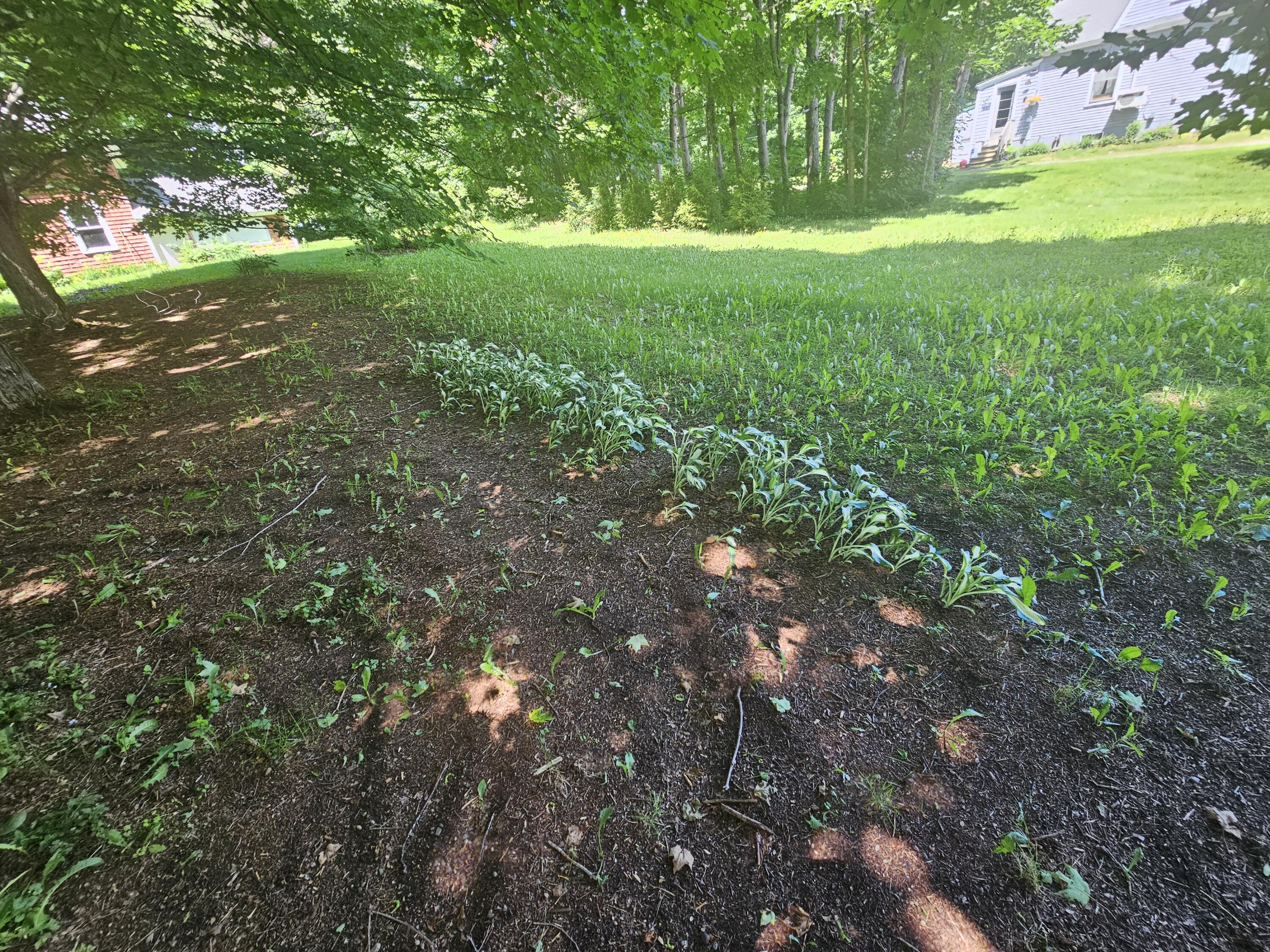 32 Willow Street Patten, ME 04765 - Photo 60 of 60