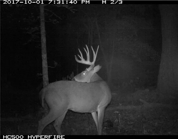 $250,000 | 0 Shooting Star Lane, Edwards, MO 65326