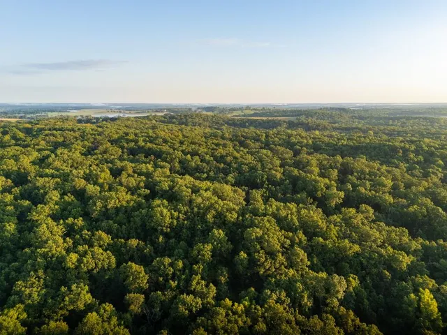 $250,000 | 0 Shooting Star Lane, Edwards, MO 65326