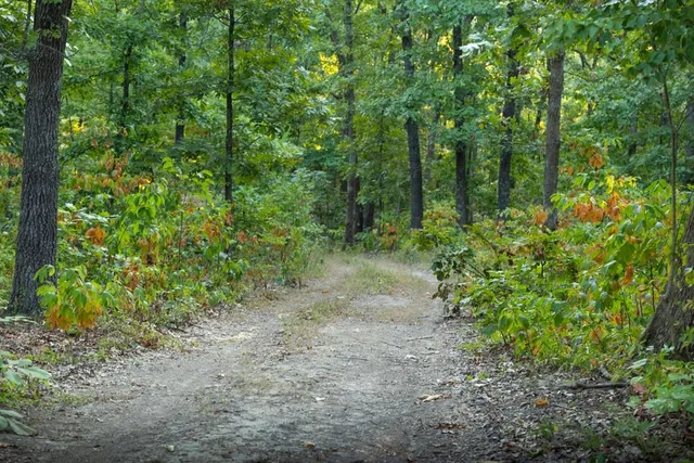 $250,000 | 0 Shooting Star Lane, Edwards, MO 65326