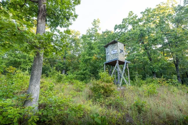 $250,000 | 0 Shooting Star Lane, Edwards, MO 65326