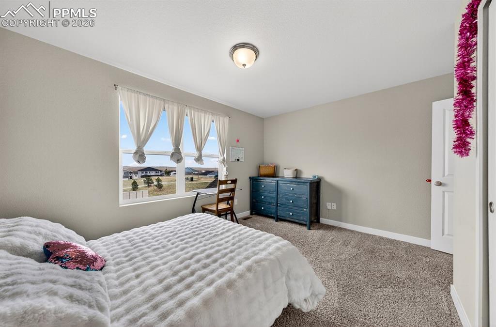 3932 Ryedale Way Colorado Springs, CO 80922 - Photo 39 of 50