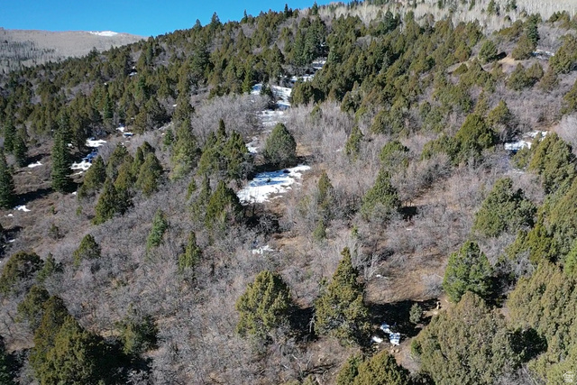 Undisclosed Address Summit, UT 84772 - Photo 9 of 19 Bird's eye view of a forest