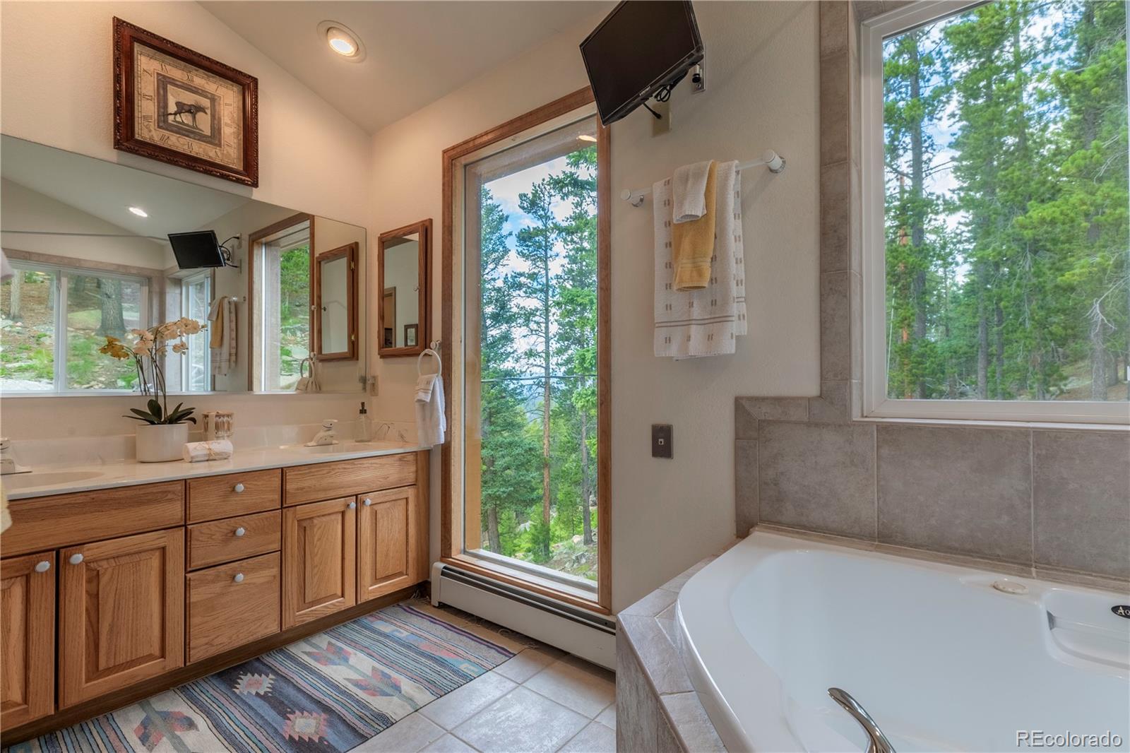 31320 Timothys Trail Conifer, CO 80433 - Photo 27 of 47