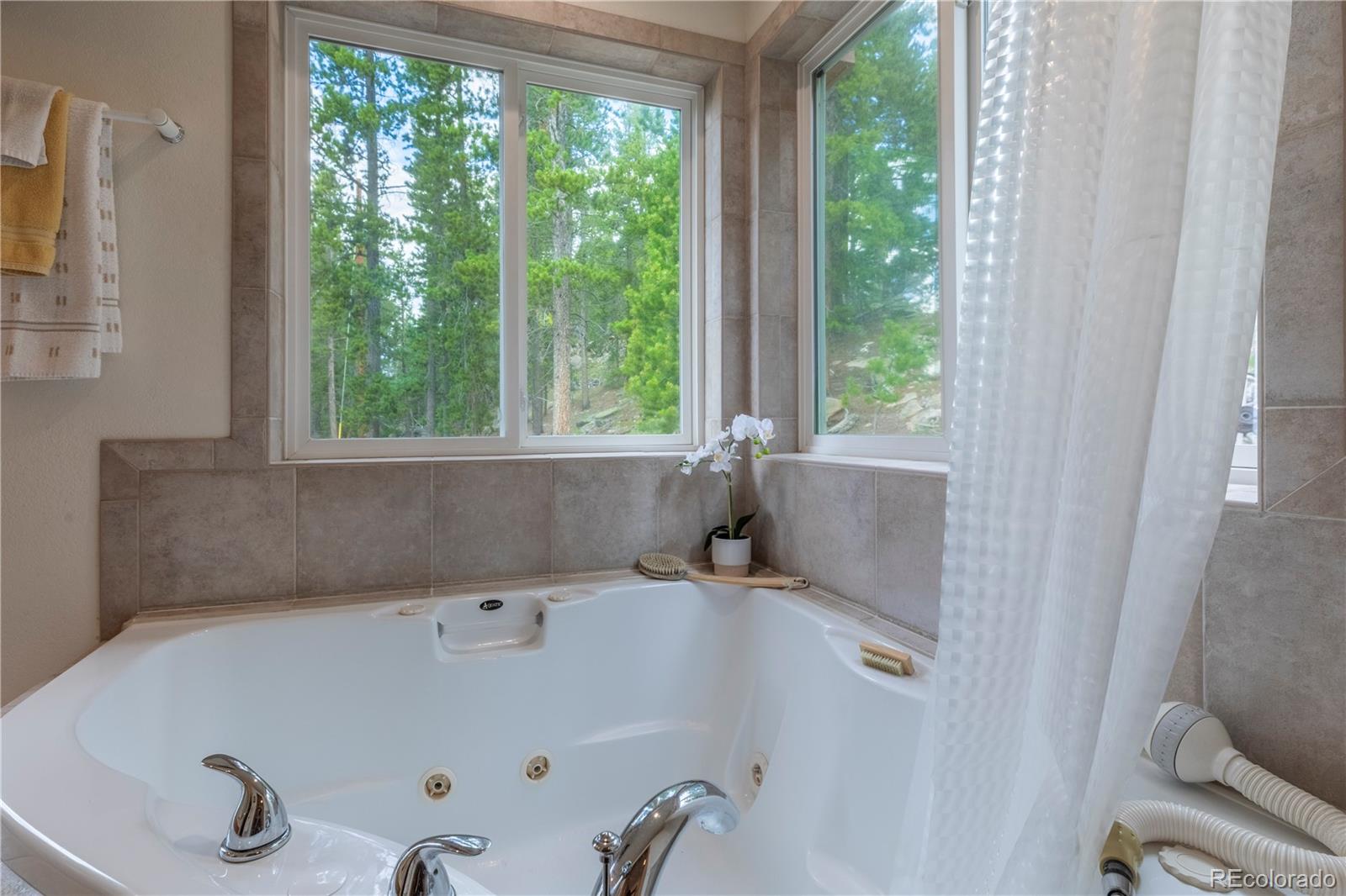 31320 Timothys Trail Conifer, CO 80433 - Photo 28 of 47