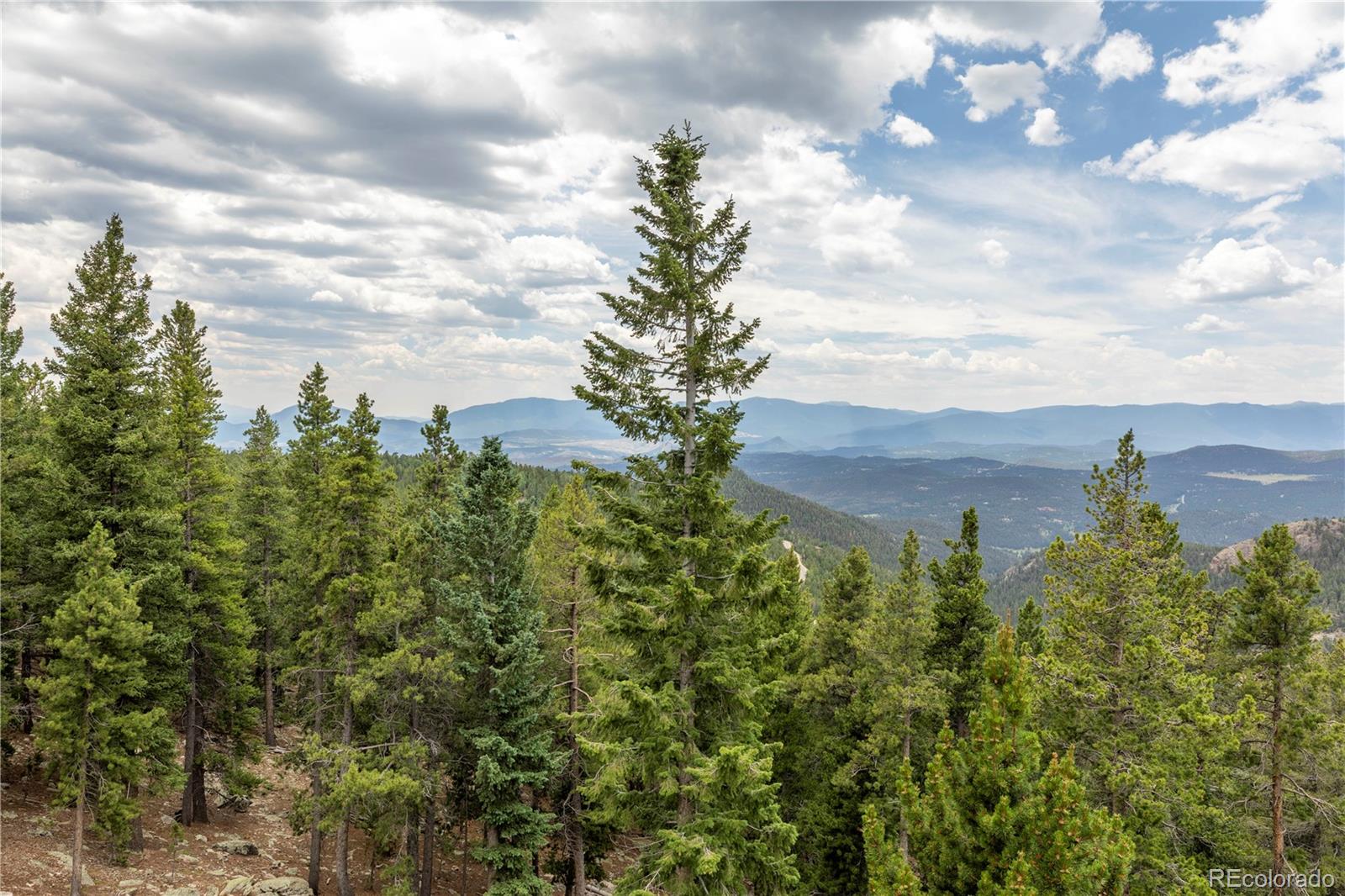 31320 Timothys Trail Conifer, CO 80433 - Photo 38 of 47