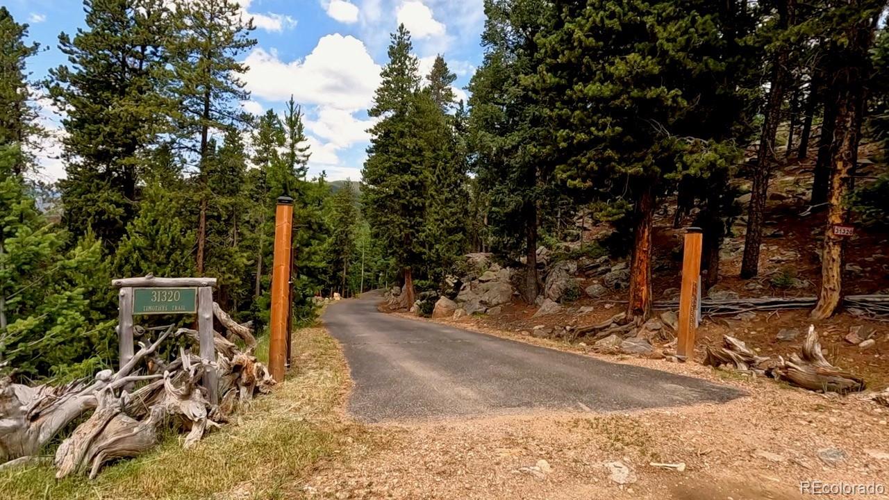 31320 Timothys Trail Conifer, CO 80433 - Photo 4 of 47