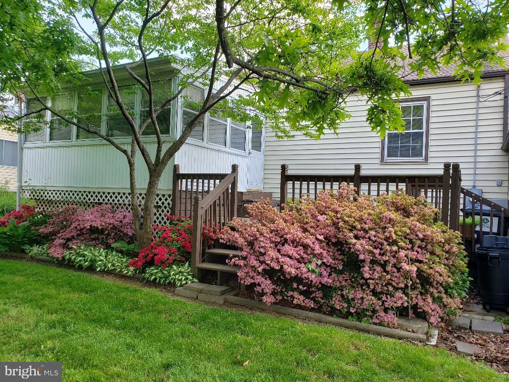 404 Blackstone Road Newark, DE 19713 - Photo 19 of 21 Landscaping includes Dogwood Tree and...