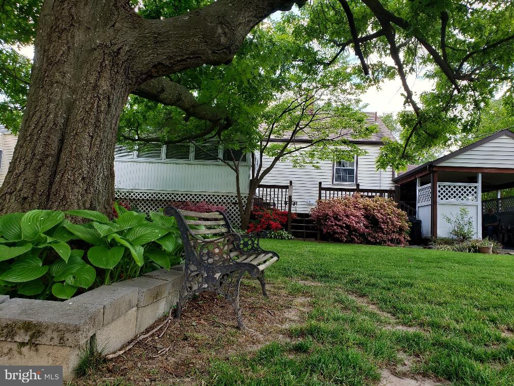 404 Blackstone Road Newark, DE 19713 - Photo 20 of 21 ...a shady oak