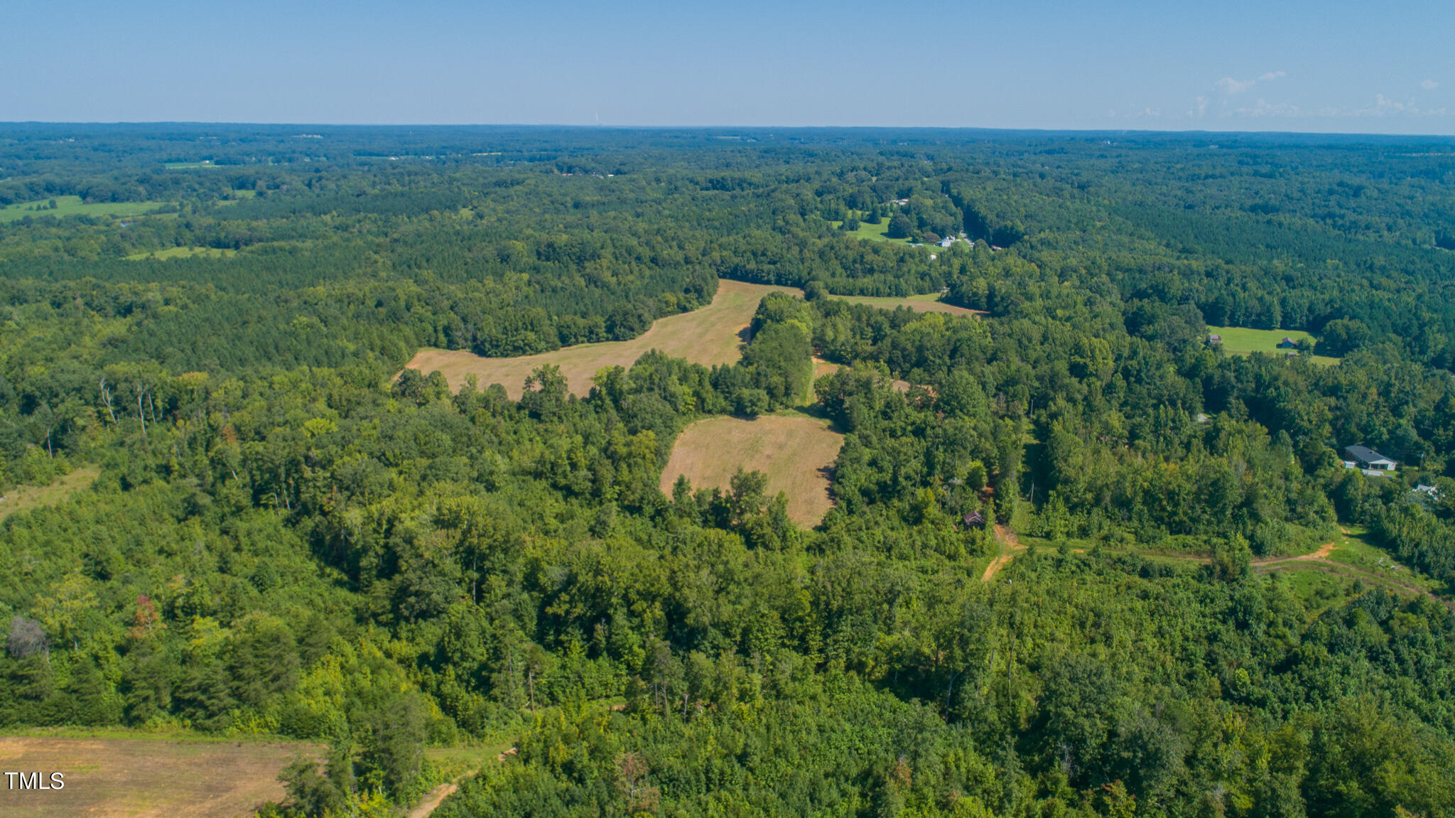 121-acres Medford Oakley Road Rougemont, NC 27572 - Photo 13 of 14 DJI_0292