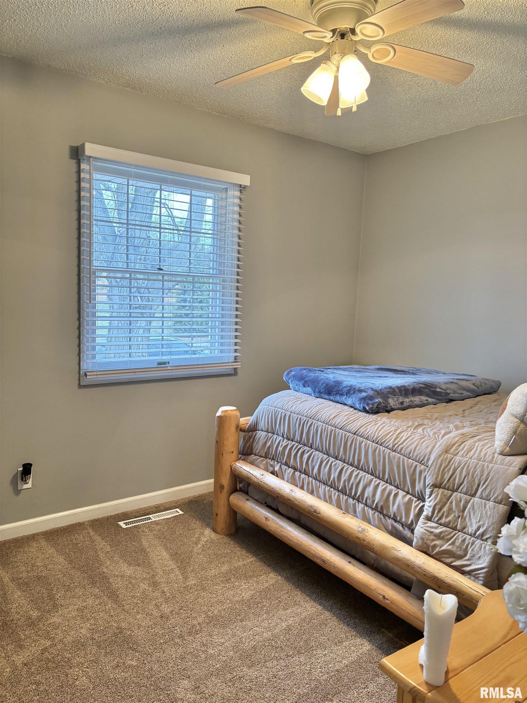 204 Massey Lane Jacksonville, IL 62650 - Photo 29 of 57