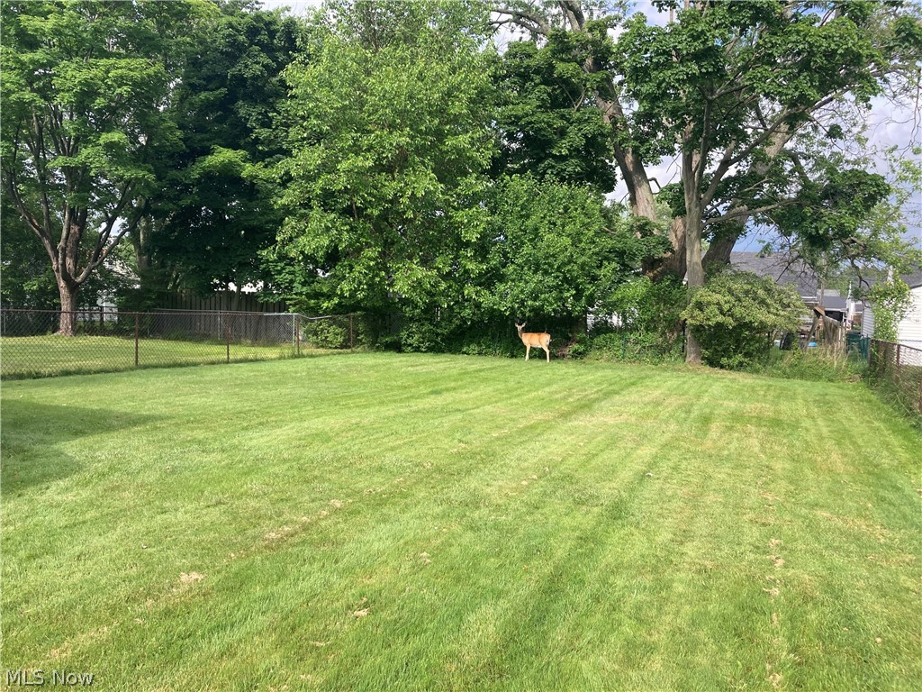 1407 Lander Road Cleveland, OH 44124 - Photo 5 of 33 View of yard
