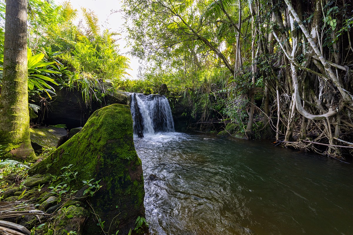 28-380 Sugar Mill Road Pepeekeo, HI 96783 - Photo 2 of 29 a view of a backyard