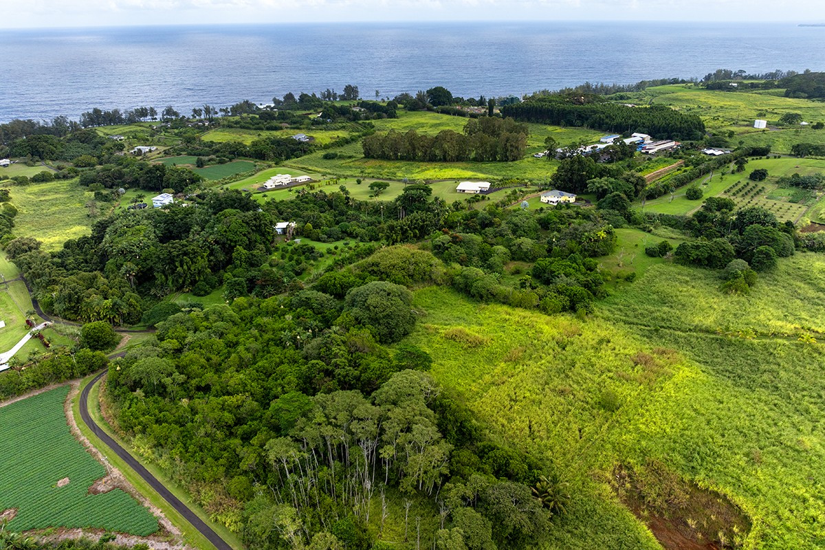 28-380 Sugar Mill Road Pepeekeo, HI 96783 - Photo 29 of 29 an aerial view of a houses with a lush green hillside