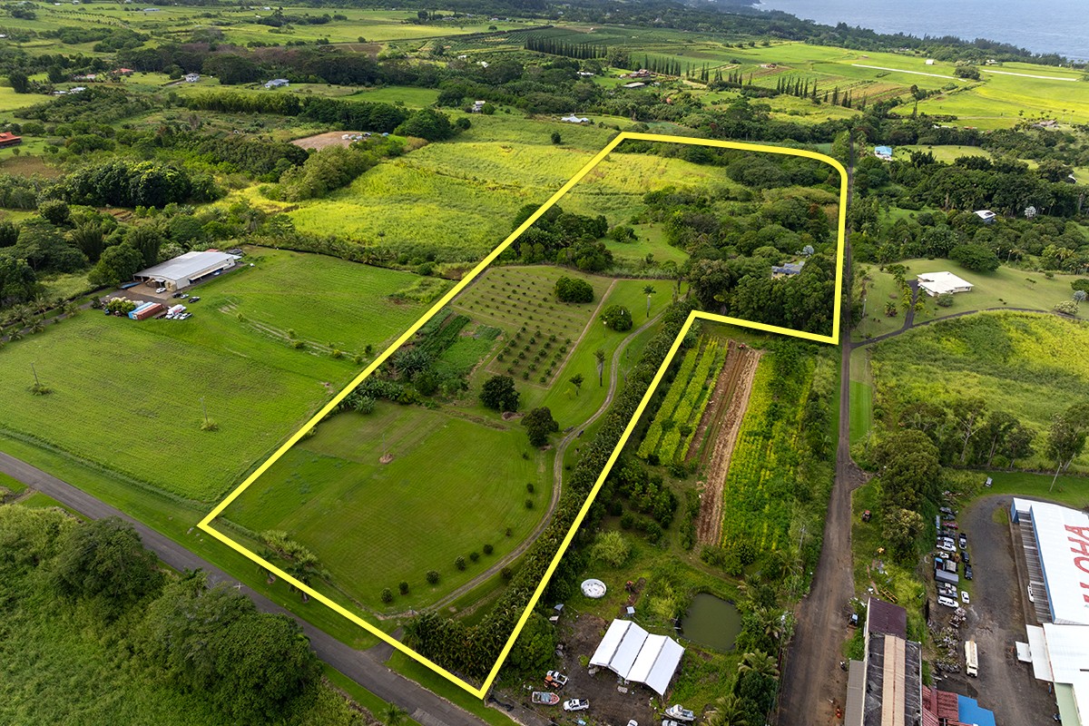 28-380 Sugar Mill Road Pepeekeo, HI 96783 - Photo 3 of 29 a view of a pool
