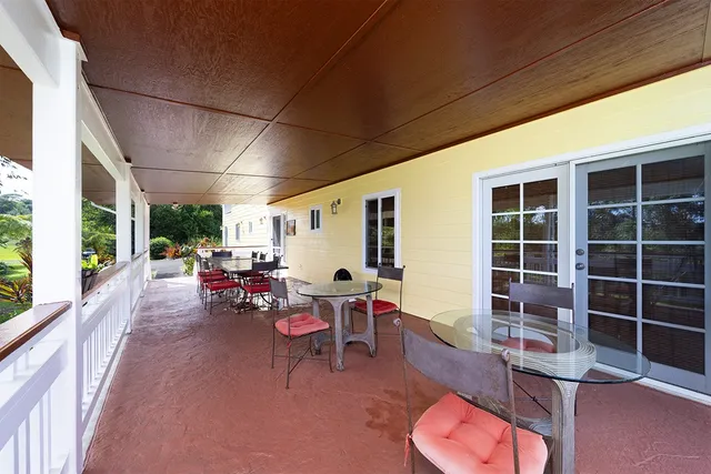 a room with furniture and a potted plant